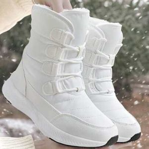 IMG-20250209-WA0384