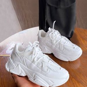 IMG-20250209-WA0462